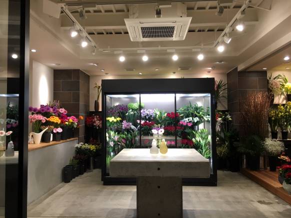 岐阜県岐阜市の花屋 ｆｌｏｗｅｒ ｓｈｏｐ アカネにフラワーギフトはお任せください 当店は 安心と信頼の花キューピット加盟店です 花キューピットタウン